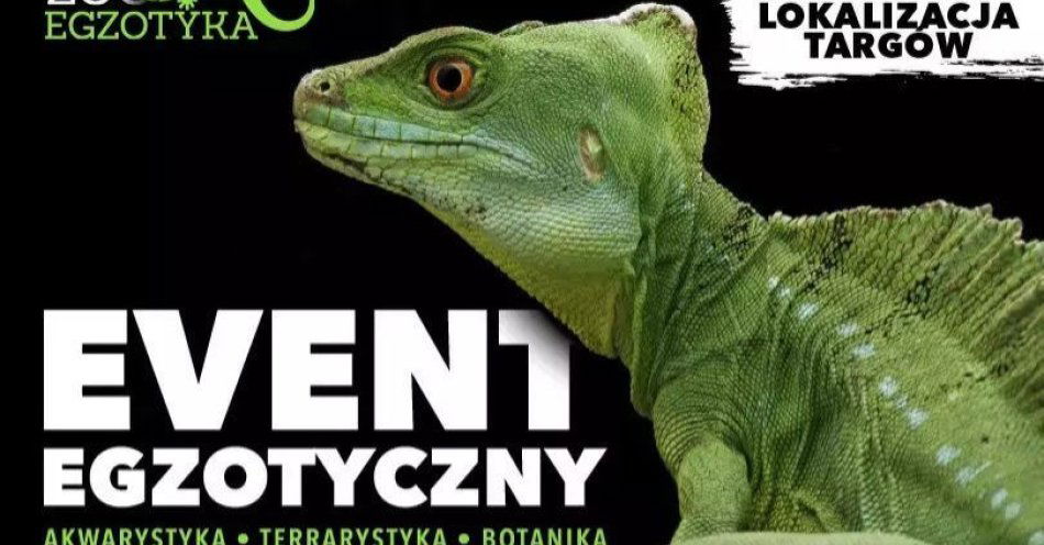 zdjęcie: ZooEgzotyka / kupbilecik24.pl / ZooEgzotyka