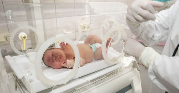 Dzień Wcześniaka w Rudzie Śląskiej