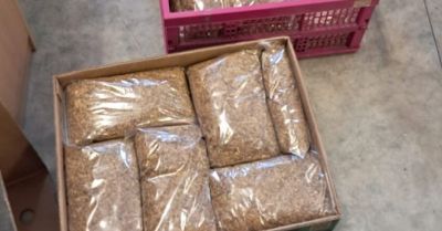 Ujawniono 22,5 kg tytoniu bez znaków akcyzy