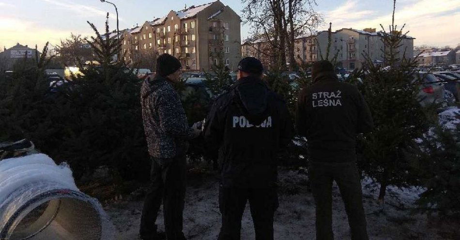 zdjęcie: Służba ze Strażą Leśną / fot. KPP Ostrowiec Świętokrzyski