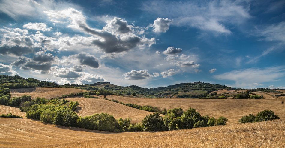 zdjęcie: Prace polowe to dla wszystkich czas wzmożonej ostrożności / pixabay/2165759