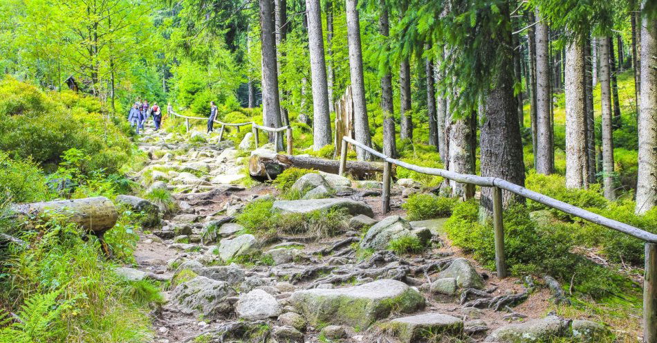 zdjęcie: Tatrzański Park Narodowy wyremontuje 15 szlaków turystycznych / v9227443