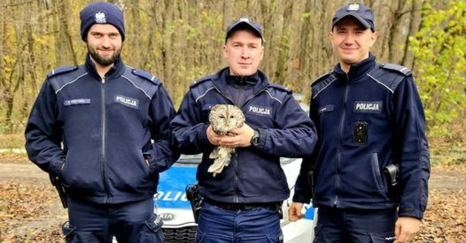 zdjęcie: Policjanci uratowali puszczyka / fot. KMP Lublin