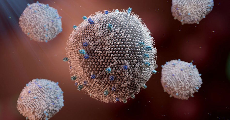 zdjęcie: RSV pod mikroskopem - co to za wirus i jak się przed nim chronić / fot. BiznesAlert -Wirus RSV (Respiratory Syncytial Virus), czyli syncytialny wirus oddechowy / Fot: East News