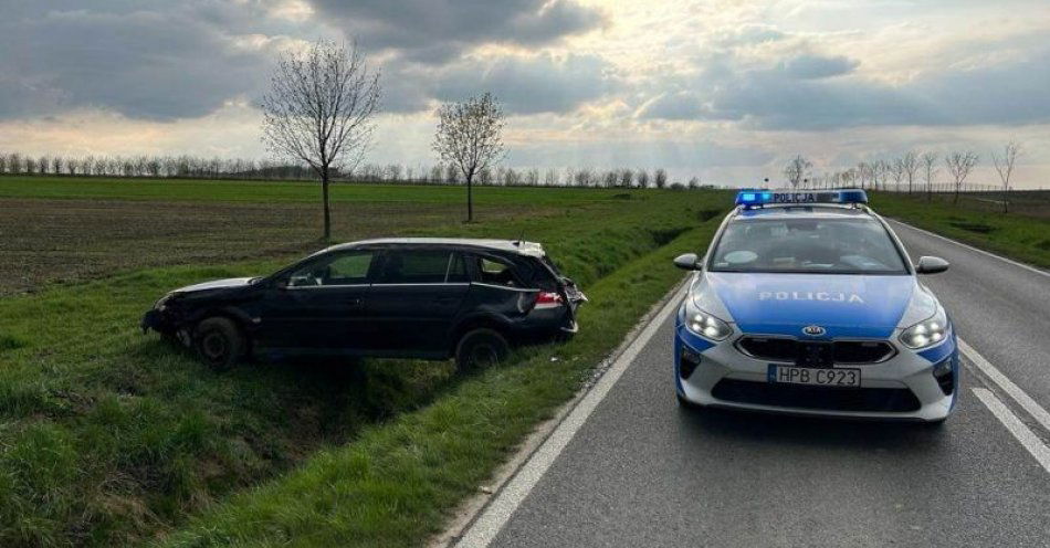 zdjęcie: Będąc pod wpływem alkoholu spowodowała kolizję / fot. KPP w Trzebnicy