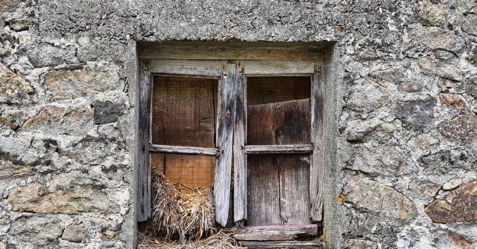 zdjęcie: Jest śledztwo ws. tragedii w domu jednorodzinnym w Ząbkach; doszło tam do morderstwa 64-latki / pixabay/8202075