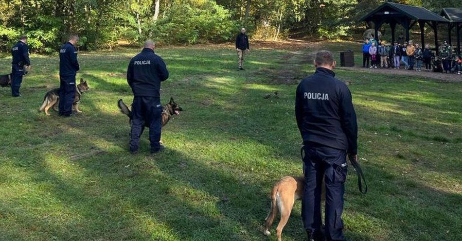 zdjęcie: Atestacja psów służbowych / fot. KPP Inowrocław