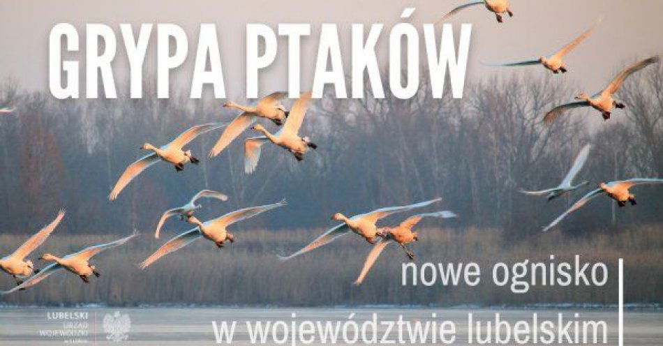 zdjęcie: Ognisko wysoce zjadliwej grypy ptaków (HPAI) w województwie lubelskim / fot. KPP Lubartów