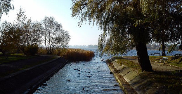 Żnin: miasto na Pałukach