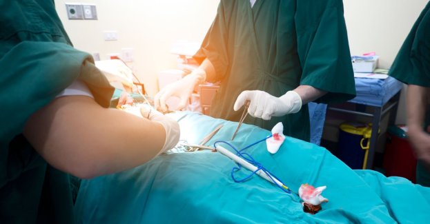 Suplementy i preparaty roślinne mogą zwiększać ryzyko krwawienia śródoperacyjnego