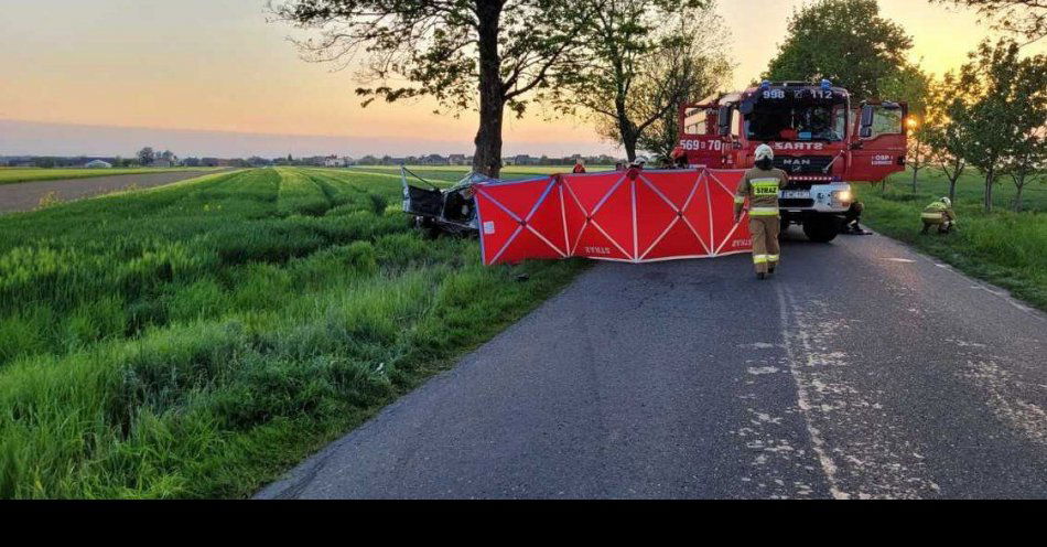 zdjęcie: Tragiczny wypadek w Dzietrzkowicach / fot. KPP w Wieruszowie