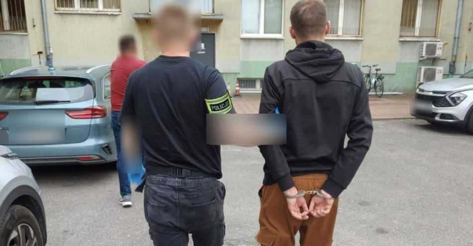 zdjęcie: Pabianiccy kryminalni zatrzymali sprawcę kradzieży z włamaniem do samochodu / fot. KPP w Pabianicach