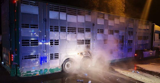 Policjanci gasili pożar naczepy przewożącej zwierzęta