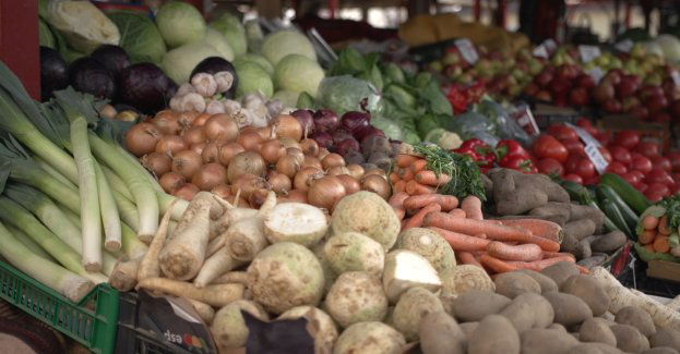 Produkcja żywności w Polsce zmaga się z wysokimi kosztami. Branża oczekuje szybkich działań rządu