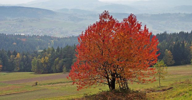 Koncert Pod Wieżą pełen wrażeń, nie tylko muzycznych