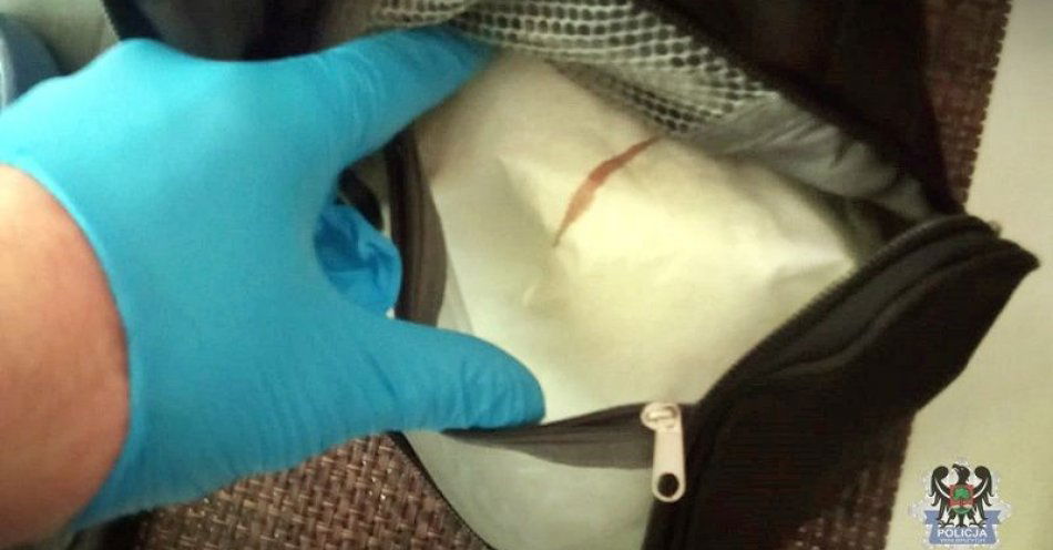zdjęcie: Zabezpieczone ponad pół kilograma narkotyków. Dwie osoby zatrzymane, a 43-latek tymczasowo aresztowany / fot. KMP w Wałbrzychu