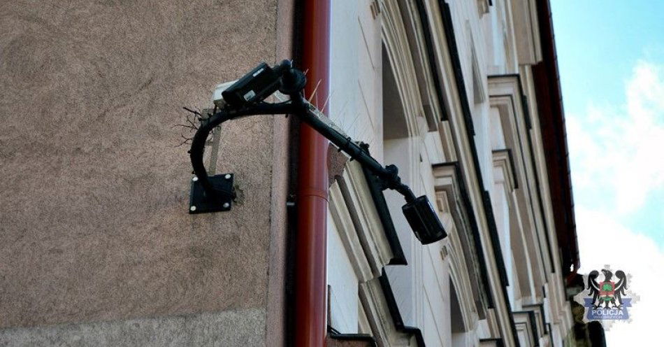 zdjęcie: Uszkodziła kamerę monitoringu. Dewastacji dokonała, bo była pijana / fot. KMP w Wałbrzychu