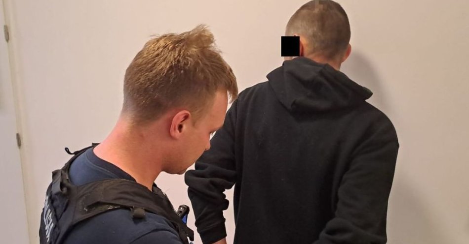 zdjęcie: 36-latek znęcał się nad partnerką - trafił już do tymczasowego aresztu / fot. KPP Ryki