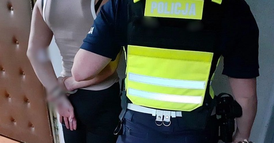 zdjęcie: Zaczęło się od przekroczenia prędkości. Później była już tylko seria różnego rodzaju przestępstw / fot. KMP w Wałbrzychu