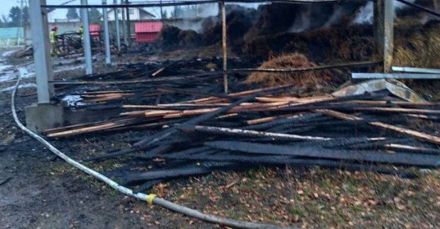 Pożar w stadninie: straty 2,5 mln zł i podejrzenie nieletnich