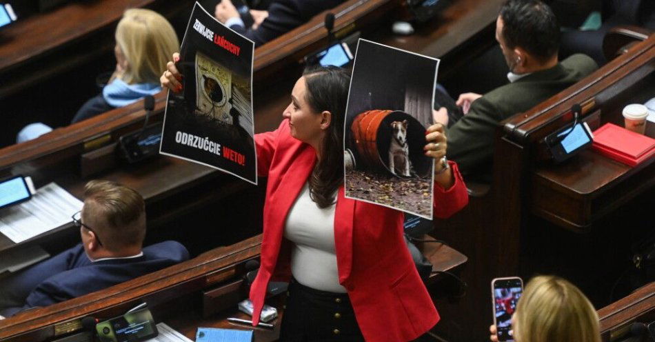 zdjęcie: Sejm nie odrzucił weta prezydenta wobec tzw. ustawy łańcuchowej / Warszawa, 17.12.2025. Posłanka Polski 2050 Ewa Szymanowska na sali obrad Sejmu, 17 bm. Sejm zajmuje się sprawozdaniem Komisji Nadzwyczajnej dot. wniosku prezydenta RP o ponowne rozpatrzenie ustawy o zmianie ustawy o ochronie zwierząt. (mr) PAP/Piotr Nowak