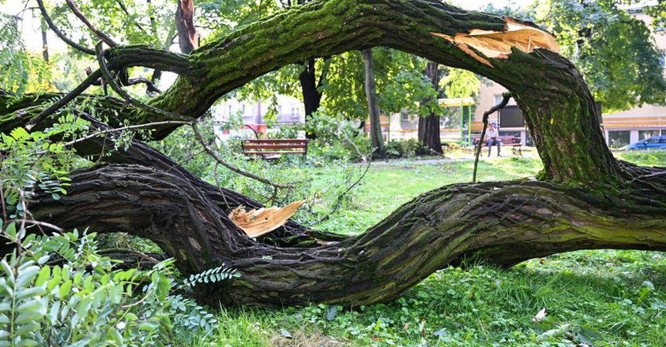 zdjęcie: IMGW ostrzega przed burzami w Małopolsce i na Podkarpaciu / fot. PAP