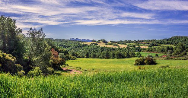 700 tys. zł odszkodowania za utraconą ziemię