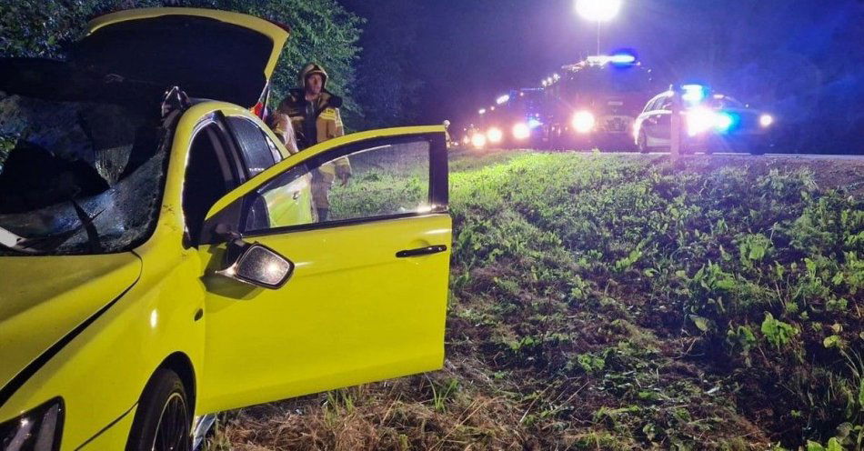zdjęcie: Zderzenie z łosiem na drodze wojewódzkiej 812 / fot. KPP Włodawa