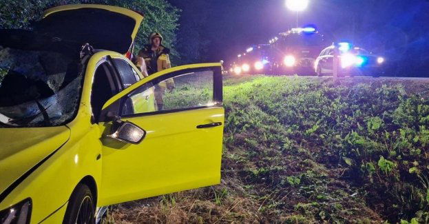 Zderzenie z łosiem na drodze wojewódzkiej 812