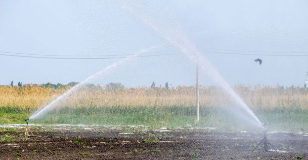 Wielkopolska Izba Rolnicza zaprezentowała program walki z suszą