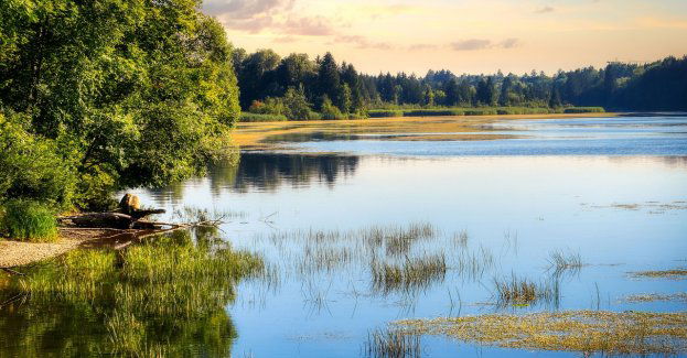 Orlen ogranicza uciążliwości zapachowe ścieków przemysłowych - inwestycja za blisko 43 mln zł