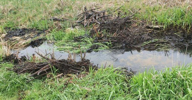 37-latek zniszczył tamę bobrów na rzece