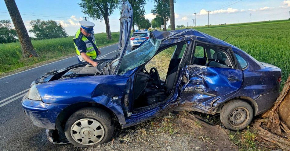 zdjęcie: Policjanci wyjaśniają okoliczności wypadku drogowego w Cerekwicy / fot. KPP w Żninie