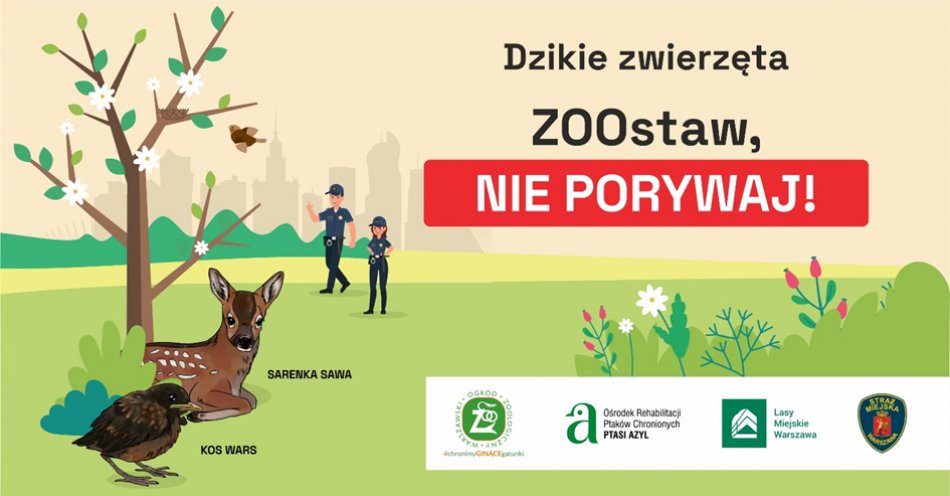 zdjęcie: Dziś rusza kampania informacyjna : ZOOstaw, nie porywaj!