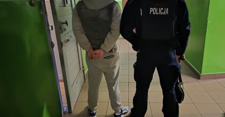 zdjęcie: 11 zatrzymanych w Gliwicach podczas akcji Poszukiwany / fot. KMP w Gliwicach