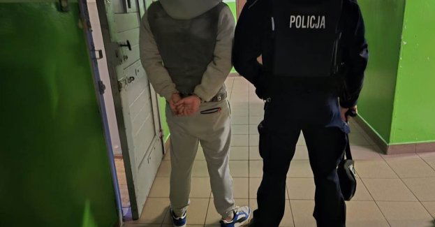 11 zatrzymanych w Gliwicach podczas akcji Poszukiwany