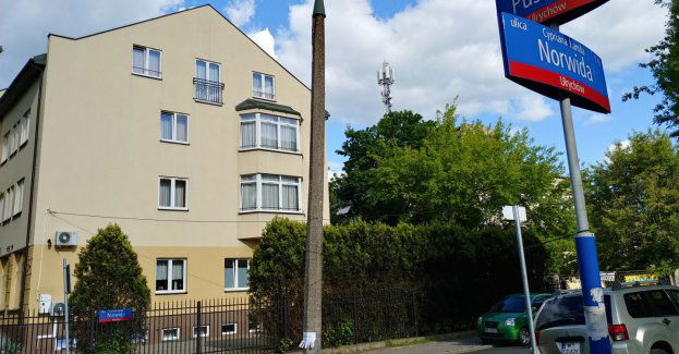 Jasno, tanio i zielono na Pustola