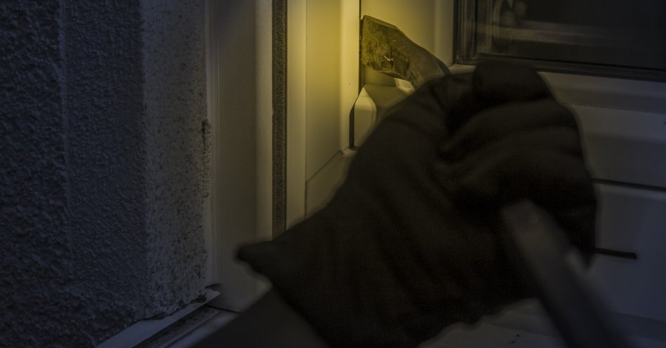 zdjęcie: Włamywacz w rękach policjantów / pixabay/1678883