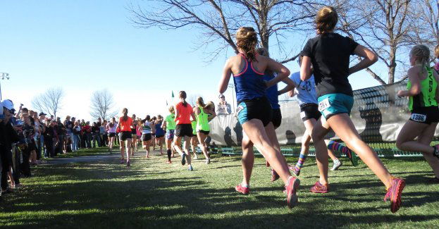 W najbliższą niedzielę na kierowców czekają utrudnienia w ruchu drogowym