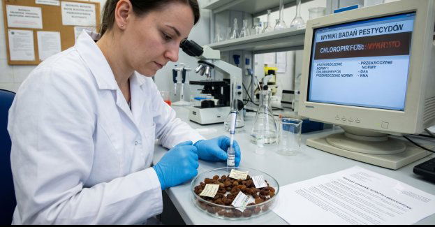 Czy eko to naprawdę eko?  4 z 9 produktów ekologicznych w teście Fundacji Pro-Test nie spełniało wymogów żywności bio