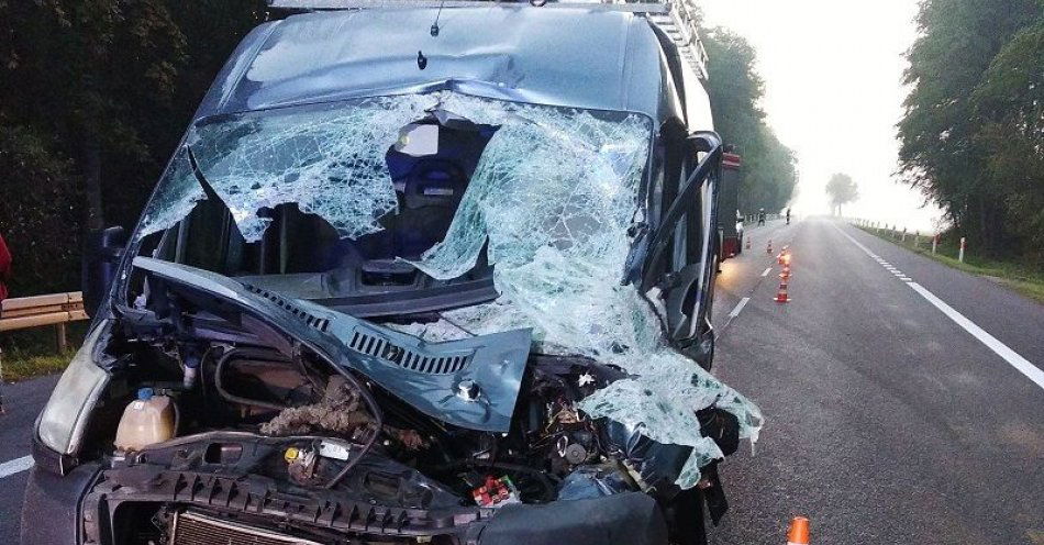 zdjęcie: Zderzenie z łosiem na krajowej dwójce / fot. KMP Biała Podlaska