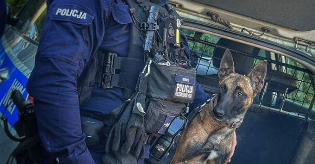 Trafika i policjant odnaleźli zaginionego ze szpitala