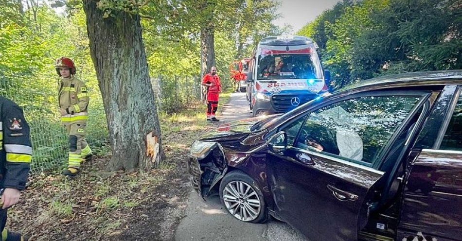 zdjęcie: Apel policjantów o zachowanie zasad bezpieczeństwa na drogach. Kobieta uderzyła prowadzonym przez siebie samochodem w drzewo / fot. KMP w Wałbrzychu