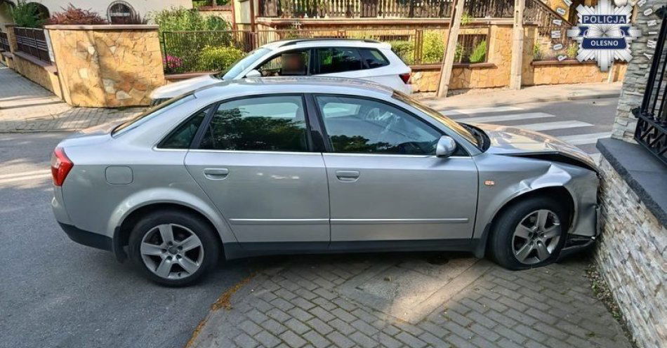 zdjęcie: Miał naprawić auto, wjechał w ogrodzenie z prawie 3 promilami, drugi pijany kierowca chciał uciec Policji / fot. KPP Olesno