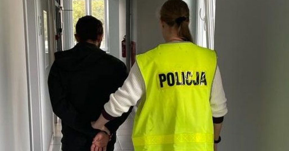 zdjęcie: Policjanci zatrzymali 28-latka w związku z kradzieżami sklepowymi / fot. KPP w Pruszczu Gdańskim