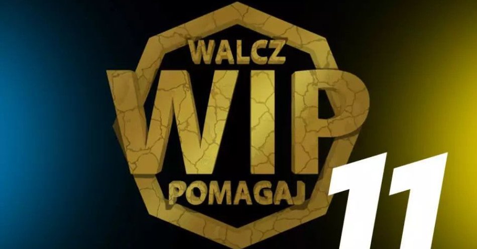 zdjęcie: GALA WIP MMA 21 / kupbilecik24.pl / GALA WIP MMA 21