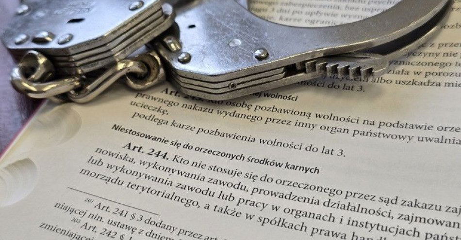 zdjęcie: Kierował mimo sądowego zakazu. Sąd wymierzył karę / fot. KPP w Sokołowie Małopolskim