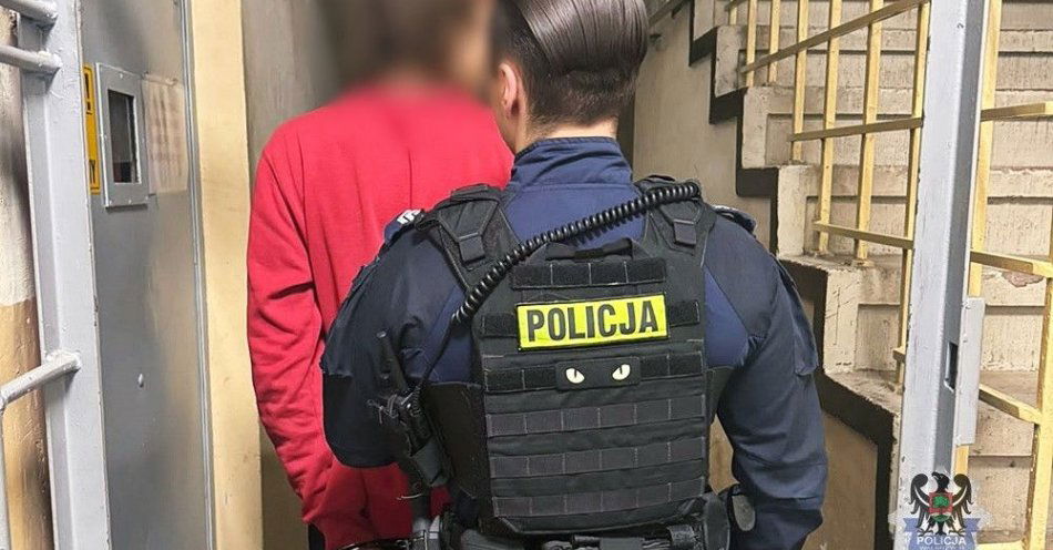 zdjęcie: 31 letni mieszkaniec Mieroszowa zatrzymany i skazany na rok / fot. KMP w Wałbrzychu