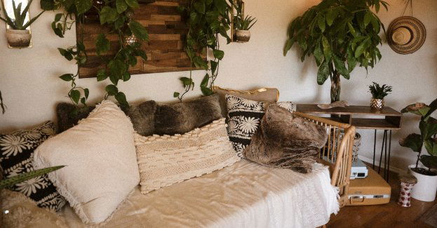 21-latek schował się przed policją w wersalce, zdradził go pies