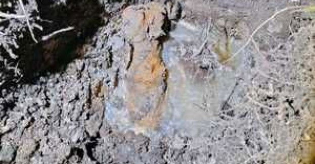 Niewybuch znaleziony na polu